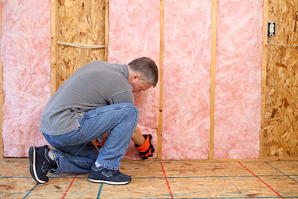 Best Eco-Friendly Insulation in Robins Af, GA
